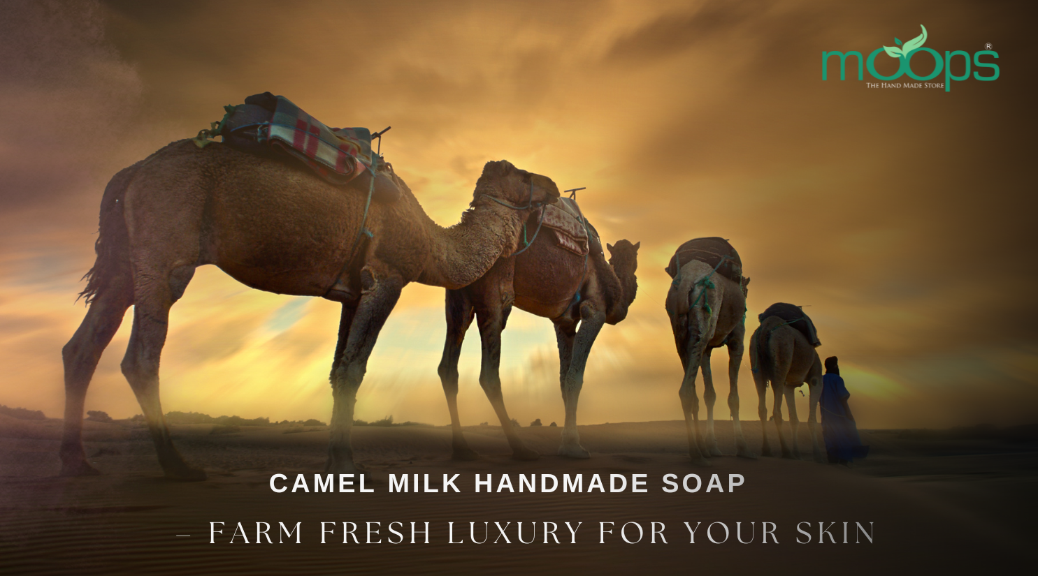 Moops Camel Milk Handmade Soap – Farm Fresh