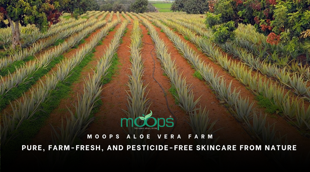Moops Aloe Vera – Organic Skin Care 