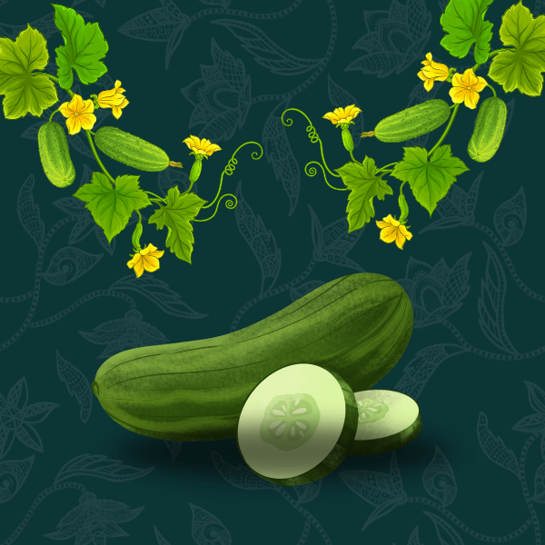 CUCUMBER 