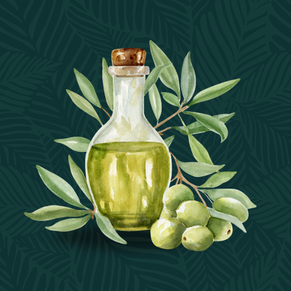 OLIVE OIL