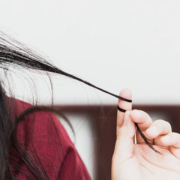 HAIR ELASTICITY
