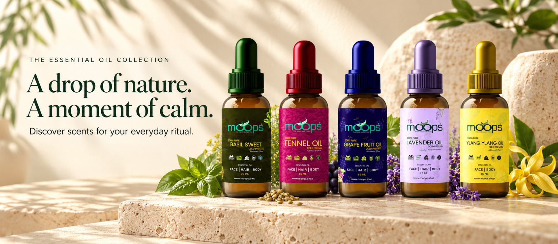 Owl Slide